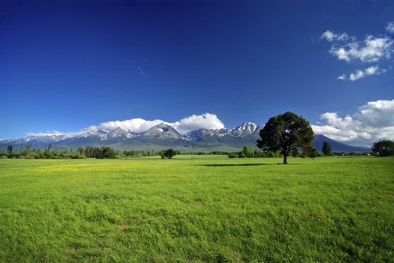 Vysoké Tatry